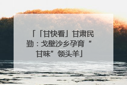 「甘快看」甘肃民勤：戈壁沙乡孕育“甘味”领头羊