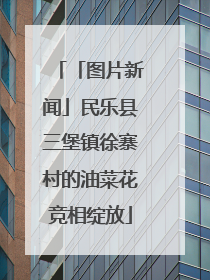 「图片新闻」民乐县三堡镇徐寨村的油菜花竞相绽放