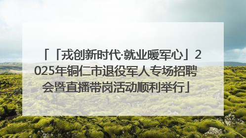 「戎创新时代·就业暖军心」2025年铜仁市退役军人专场招聘会暨直播带岗活动顺利举行
