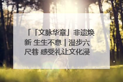 「文脉华章」非遗焕新 生生不息｜漫步六尺巷 感受礼让文化浸润的“巷”往生活