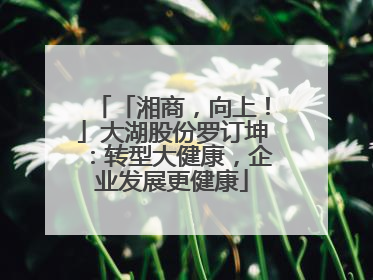 「湘商，向上！」大湖股份罗订坤：转型大健康，企业发展更健康