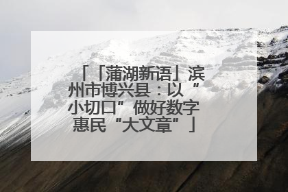 「蒲湖新语」滨州市博兴县：以“小切口”做好数字惠民“大文章”