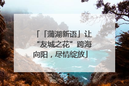 「蒲湖新语」让“友城之花”跨海向阳，尽情绽放