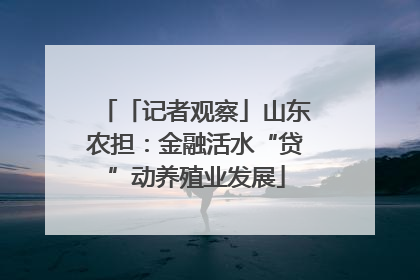 「记者观察」山东农担：金融活水“贷”动养殖业发展
