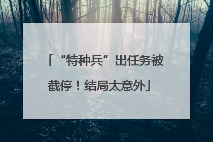 “特种兵”出任务被截停！结局太意外