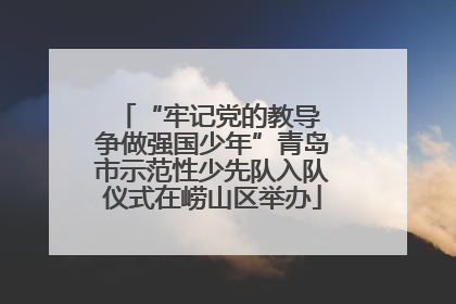 “牢记党的教导 争做强国少年”青岛市示范性少先队入队仪式在崂山区举办