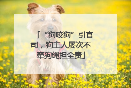 “狗咬狗”引官司，狗主人屡次不牵狗绳担全责
