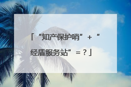 “知产保护哨”+“经盾服务站”=？