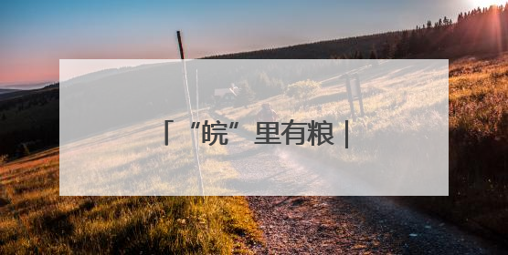 “皖”里有粮｜“三夏”时节，一“皖”麦香