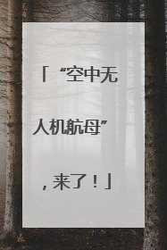 “空中无人机航母”，来了！