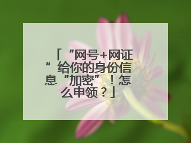 “网号+网证”给你的身份信息“加密”！怎么申领？
