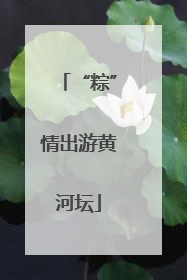 “粽”情出游黄河坛