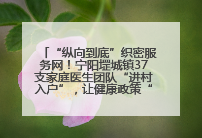 “纵向到底”织密服务网！宁阳堽城镇37支家庭医生团队“进村入户”，让健康政策“落地生根”