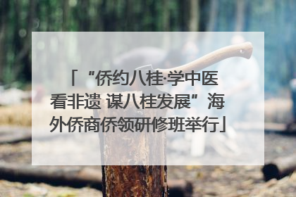 “侨约八桂·学中医 看非遗 谋八桂发展”海外侨商侨领研修班举行