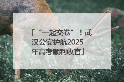 “一起交卷”！武汉公安护航2025年高考顺利收官