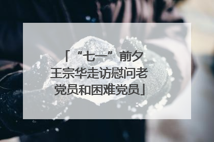 “七一”前夕 王宗华走访慰问老党员和困难党员