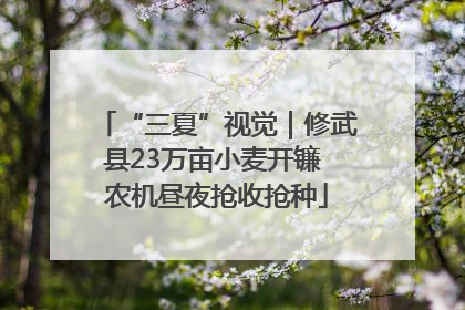 “三夏”视觉｜修武县23万亩小麦开镰 农机昼夜抢收抢种