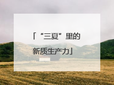 “三夏”里的新质生产力