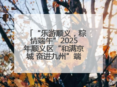 “乐游顺义，粽情端午”2025年顺义区“和满京城 奋进九州”端午主题活动启幕