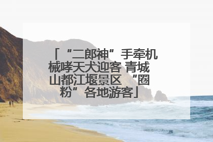 “二郎神”手牵机械哮天犬迎客 青城山都江堰景区 “圈粉”各地游客