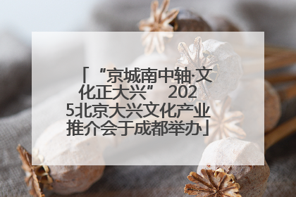 “京城南中轴·文化正大兴” 2025北京大兴文化产业推介会于成都举办