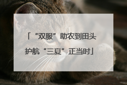 “双服”助农到田头 护航“三夏”正当时