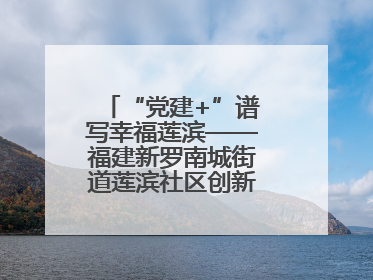 “党建+”谱写幸福莲滨——福建新罗南城街道莲滨社区创新治理模式探访