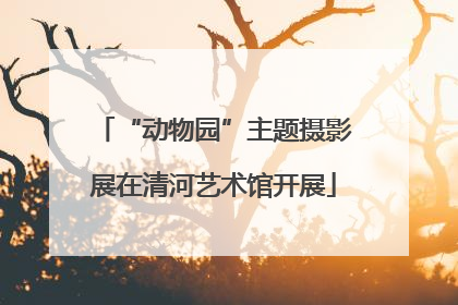 “动物园”主题摄影展在清河艺术馆开展