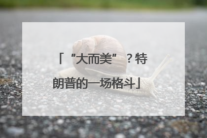 “大而美”？特朗普的一场格斗