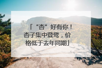 “杏”好有你！杏子集中登鹭，价格低于去年同期