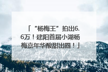 “杨梅王”拍出6.6万！建阳首届小湖杨梅嘉年华酸甜出圈！