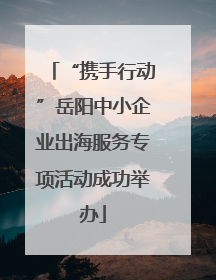 “携手行动”岳阳中小企业出海服务专项活动成功举办