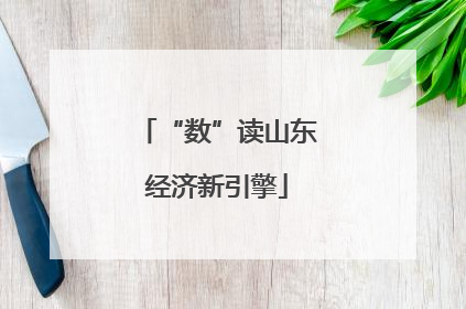 “数”读山东经济新引擎