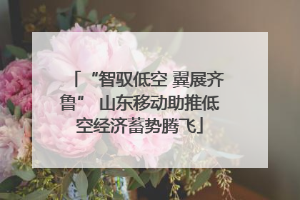 “智驭低空 翼展齐鲁” 山东移动助推低空经济蓄势腾飞