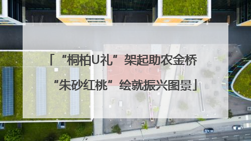 “桐柏U礼”架起助农金桥 “朱砂红桃”绘就振兴图景