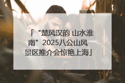 “楚风汉韵 山水淮南”2025八公山风景区推介会惊艳上海