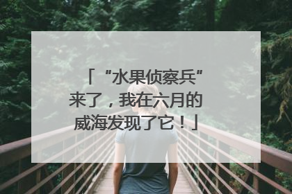 “水果侦察兵”来了，我在六月的威海发现了它！