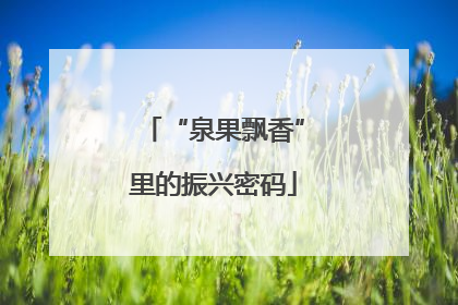 “泉果飘香”里的振兴密码