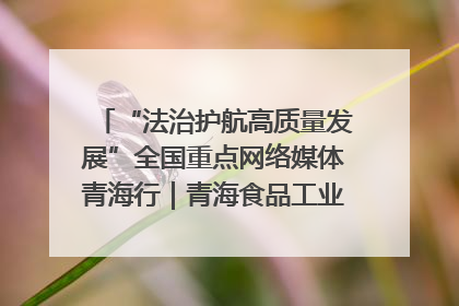 “法治护航高质量发展”全国重点网络媒体青海行｜青海食品工业协会：架起“青字号”美食的产业化桥梁