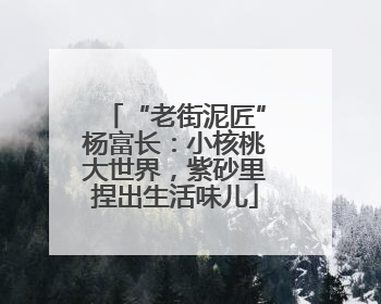 “老街泥匠”杨富长：小核桃大世界，紫砂里捏出生活味儿