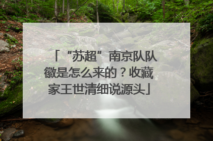 “苏超”南京队队徽是怎么来的？收藏家王世清细说源头