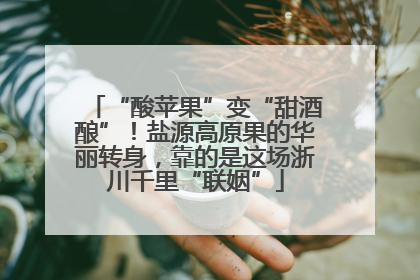 “酸苹果”变“甜酒酿”！盐源高原果的华丽转身，靠的是这场浙川千里“联姻”