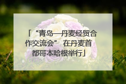 “青岛—丹麦经贸合作交流会” 在丹麦首都哥本哈根举行