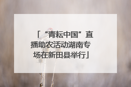 “青耘中国”直播助农活动湖南专场在新田县举行