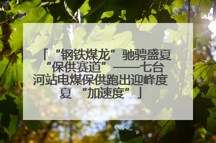 “钢铁煤龙”驰骋盛夏 “保供赛道”——七台河站电煤保供跑出迎峰度夏 “加速度”