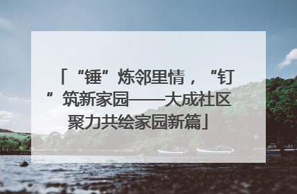 “锤”炼邻里情，“钉”筑新家园——大成社区聚力共绘家园新篇