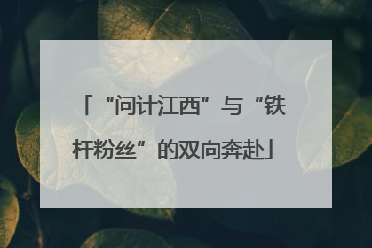 “问计江西”与“铁杆粉丝”的双向奔赴