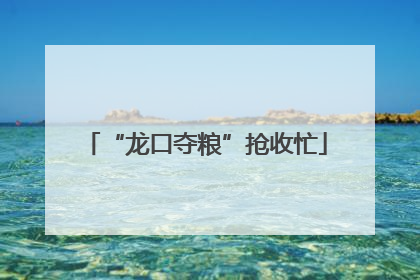 “龙口夺粮”抢收忙