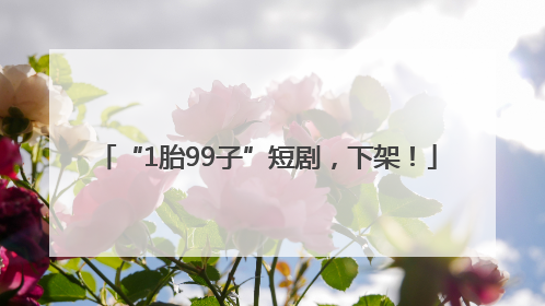 “1胎99子”短剧，下架！