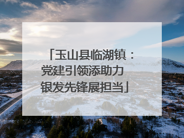 玉山县临湖镇：党建引领添助力 银发先锋展担当